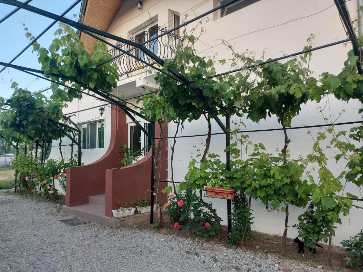 Pensiunea Raluca Mahmudia Luaran gambar